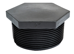 SCH80-Plug